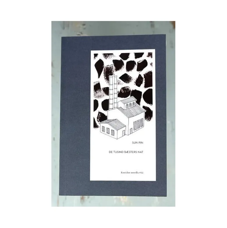 Japansk/Kinesisk Novella i Kassette 4 stk - Tawada, Motoya, Pin, Xiaobo